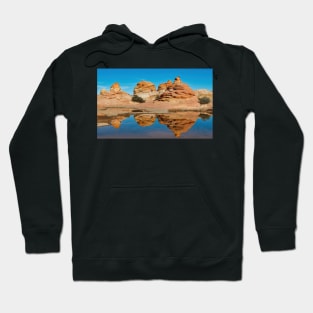 Waterhole at the Wave Hoodie